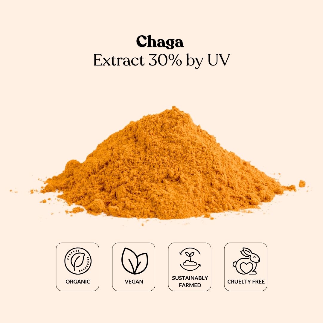 Chaga Extract 30% by UV