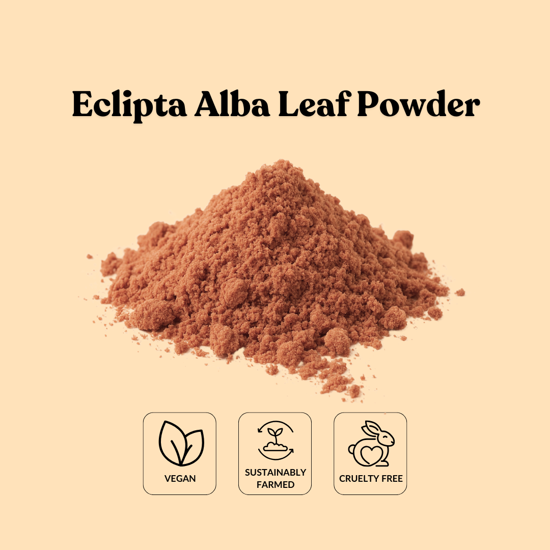 Eclipta Alba Leaf Powder