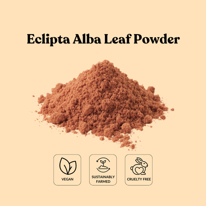 Eclipta Alba Leaf Powder
