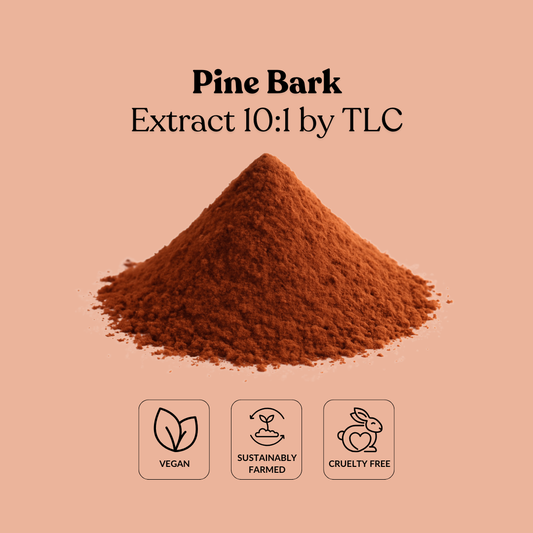 Pine Bark Extract 10:1 by TLC