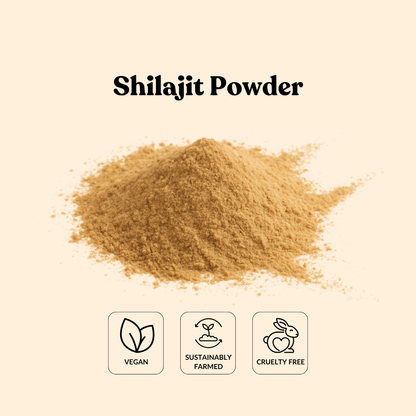 Shilajit Powder