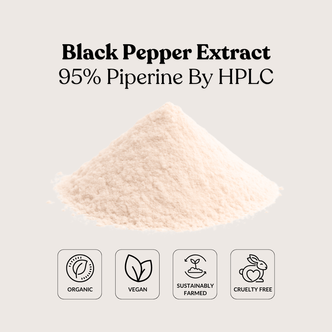 Black Pepper Extract 95% Piperine By HPLC