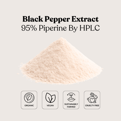 Black Pepper Extract 95% Piperine By HPLC