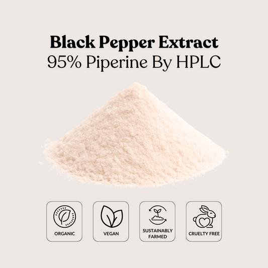 Black Pepper Extract 95% Piperine By HPLC