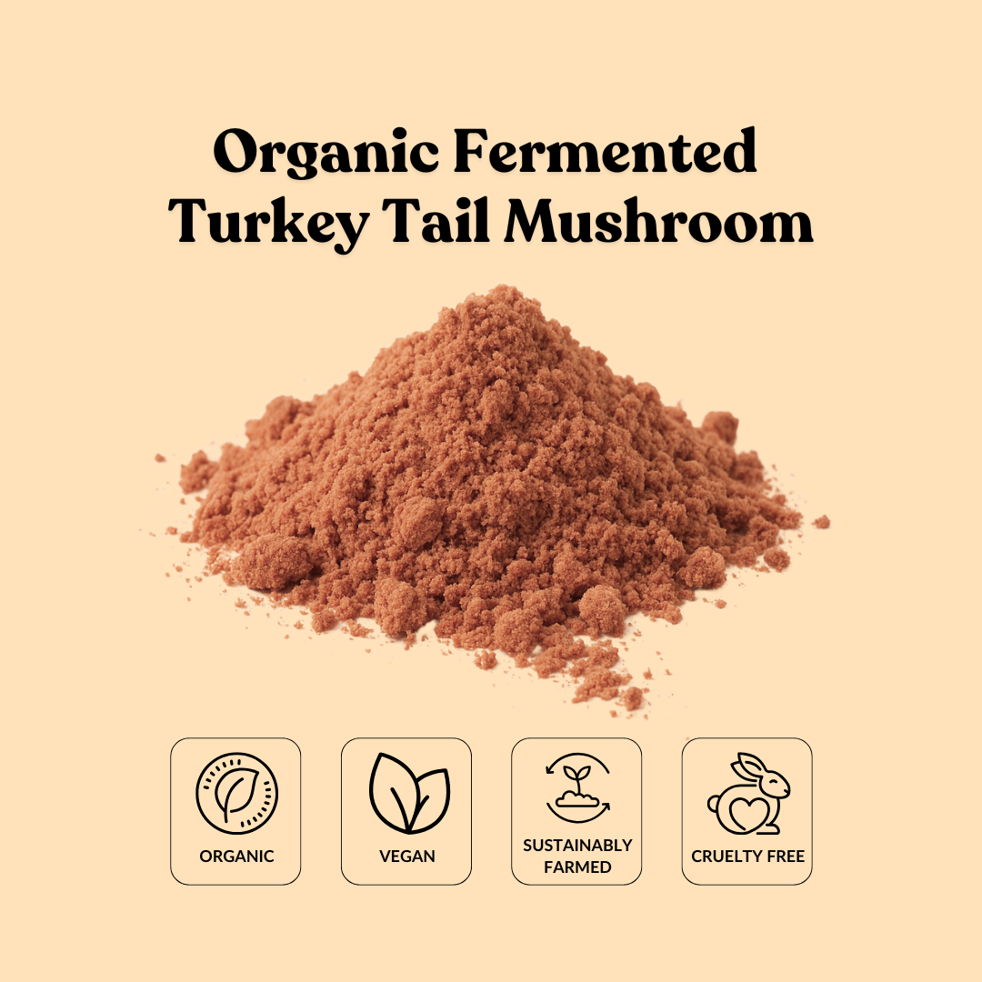Organic Fermented Turkey Tail Mushroom