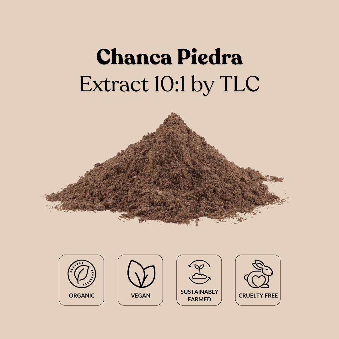 Chanca Piedra Extract 10:1 by TLC