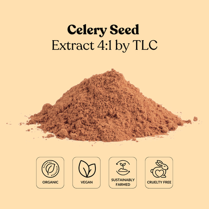 Celery Seed Extract 4:1 by TLC