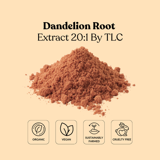 Dandelion Root Extract 20:1 By TLC