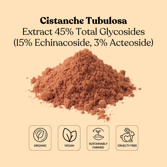 Cistanche Tubulosa Extract 45% Total Glycosides (15% Echinacoside, 3% Acteoside)