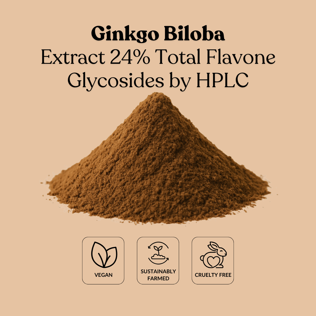 Ginkgo Biloba Extract 24% Total Flavone Glycosides by HPLC