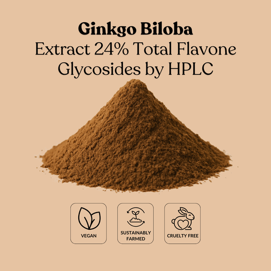 Ginkgo Biloba Extract 24% Total Flavone Glycosides by HPLC