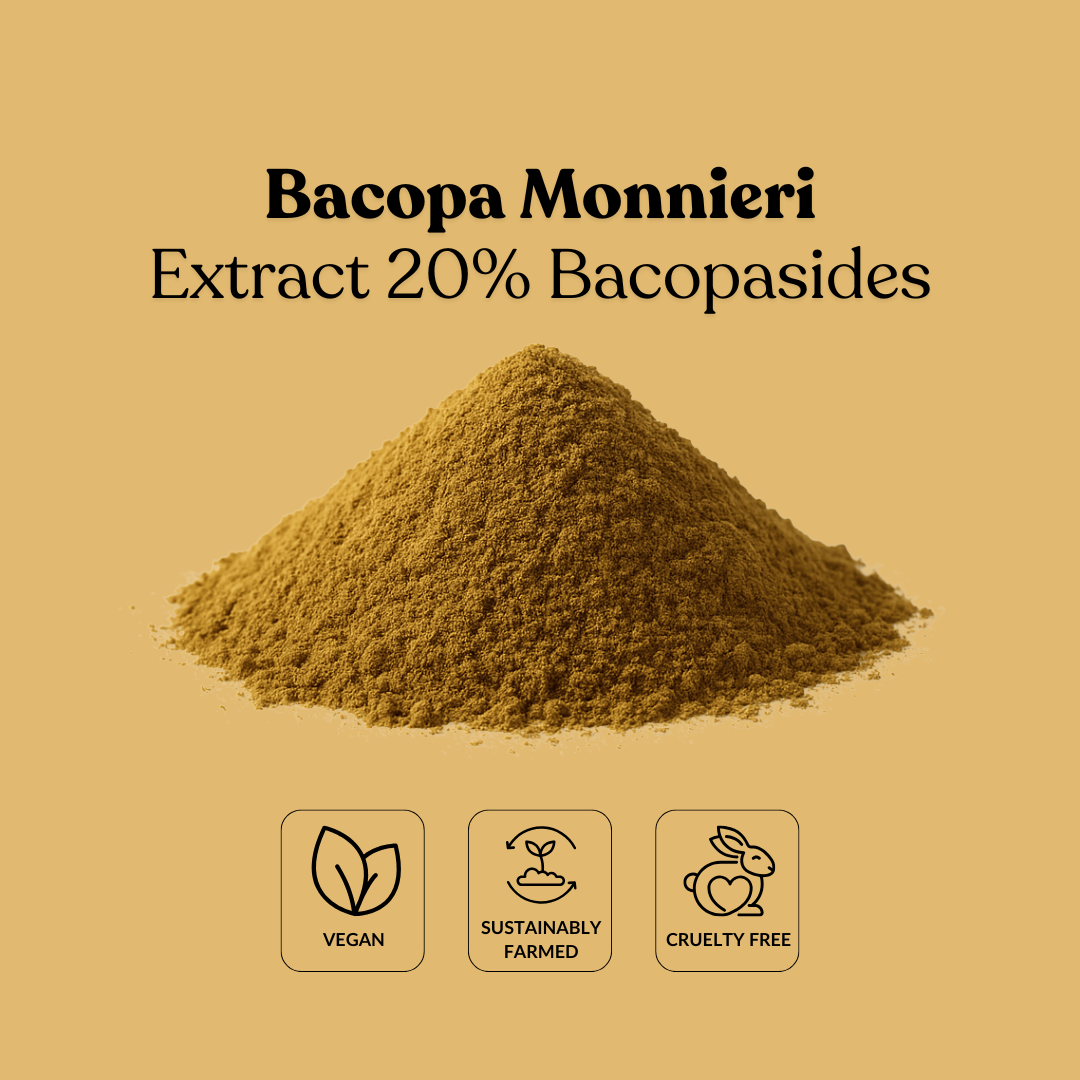 Bacopa Monnieri Extract 20% Bacopasides