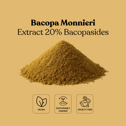 Bacopa Monnieri Extract 20% Bacopasides