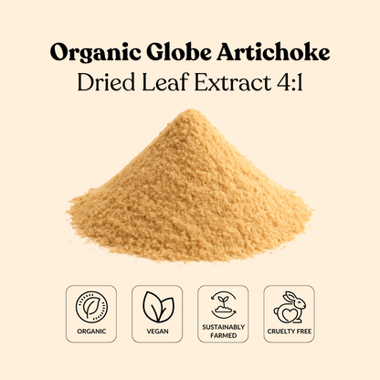 Organic Globe Artichoke Dried Leaf Extract 4:1