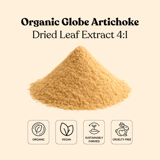 Organic Globe Artichoke Dried Leaf Extract 4:1