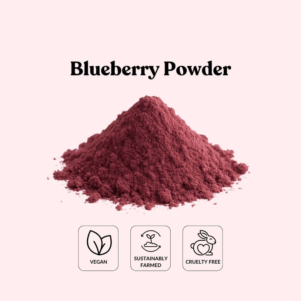 Blueberry Powder – Total Ingredients