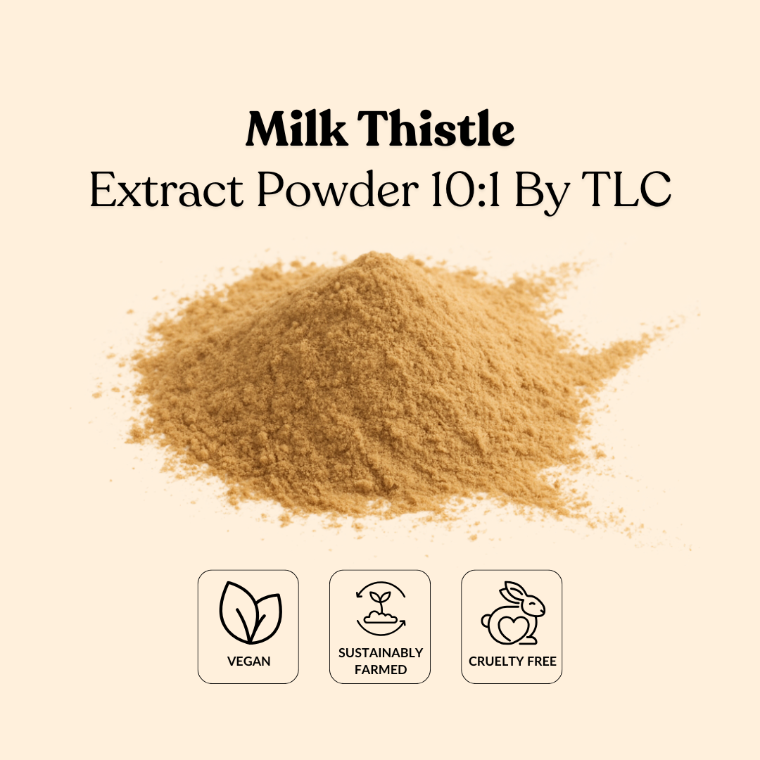 Milk Thistle Extract Powder 10:1 By TLC