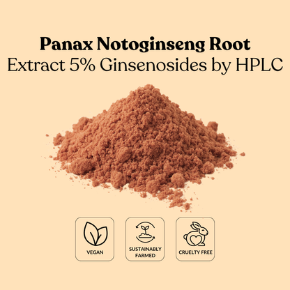 Panax Notoginseng Root Extract 5% Ginsenosides by HPLC