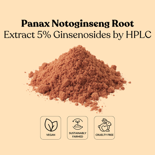 Panax Notoginseng Root Extract 5% Ginsenosides by HPLC