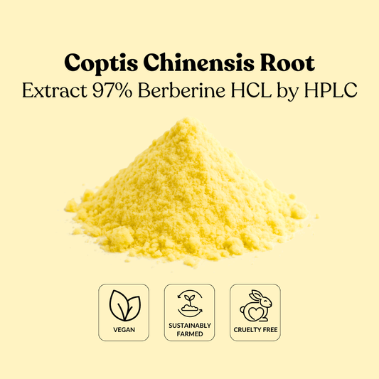 Coptis Chinensis Root Extract 97% Berberine HCL by HPLC