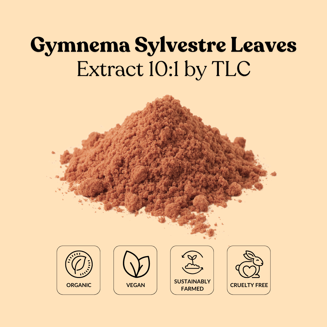 Gymnema Sylvestre Leaves Extract 10:1 by TLC