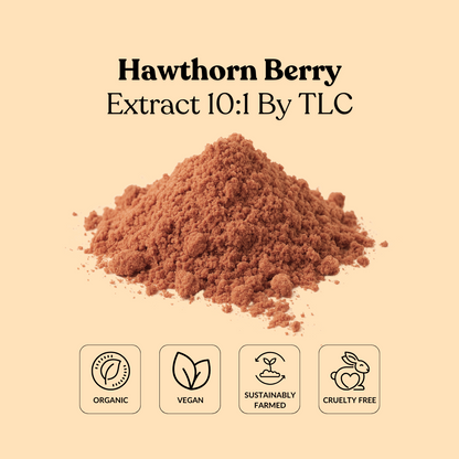 Hawthorn Berry Extract 10:1 By TLC