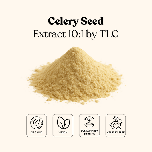 Celery Seed Extract 10:1 by TLC