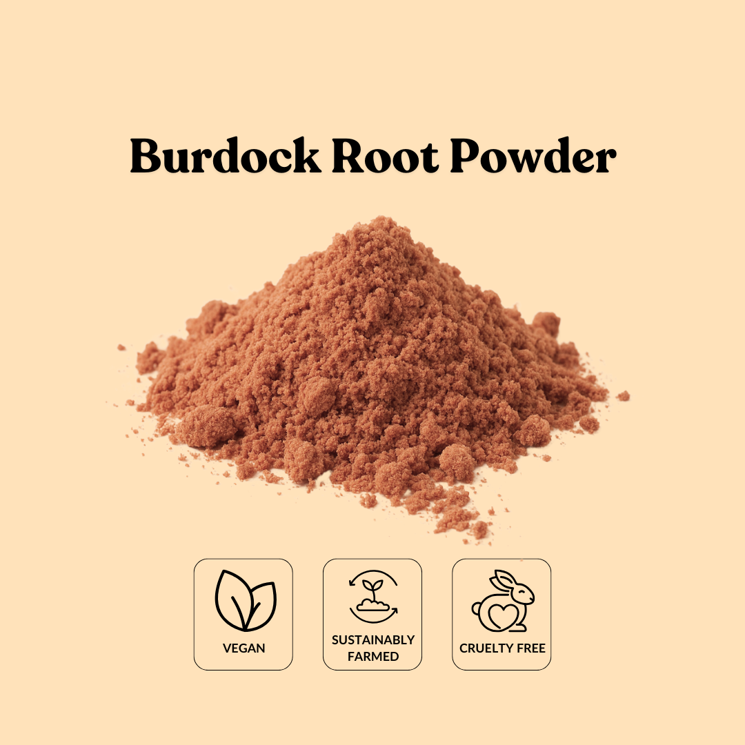 Burdock Root Powder – Total Ingredients