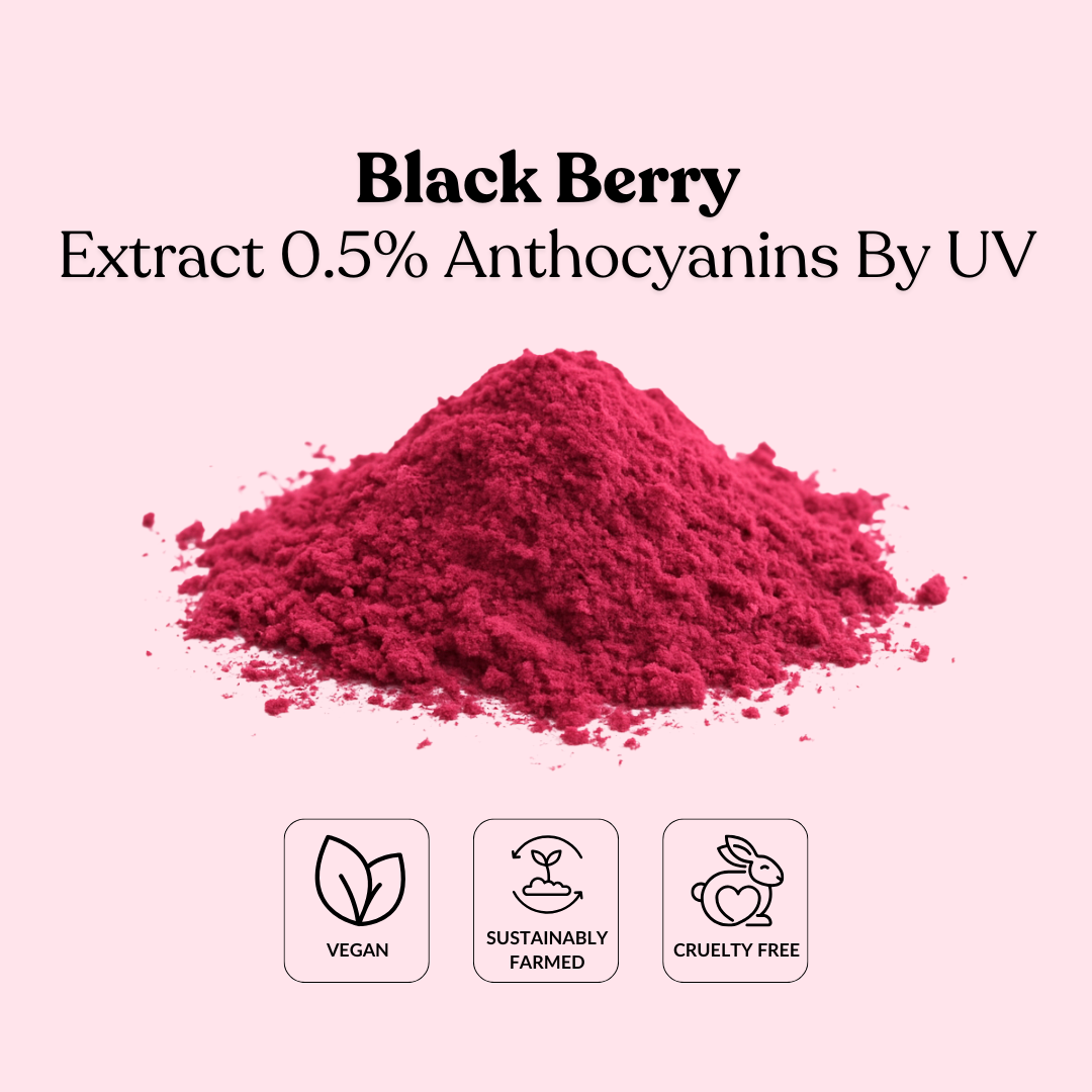 Black Berry Extract 0.5% Anthocyanins By UV