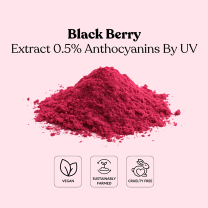 Black Berry Extract 0.5% Anthocyanins By UV
