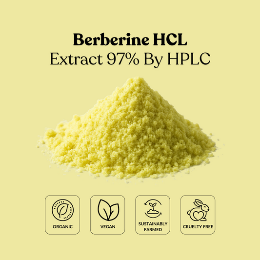 Berberine HCL Extract 97% By HPLC