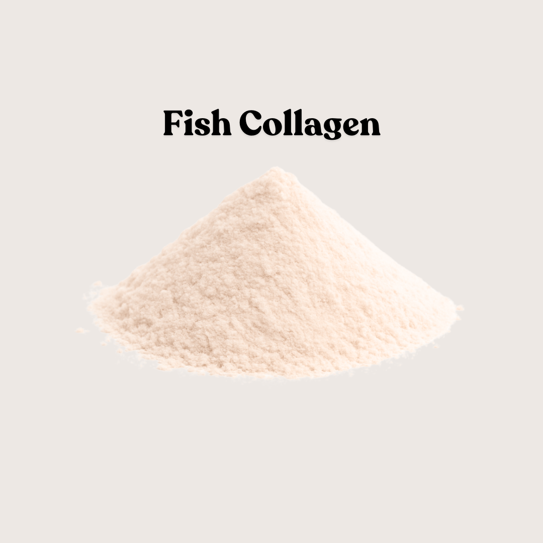 Fish Collagen