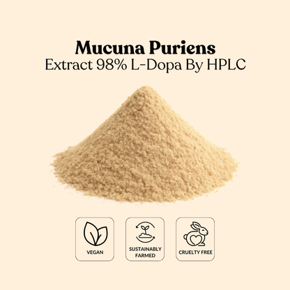 Mucuna Puriens Extract 98% L-Dopa By HPLC