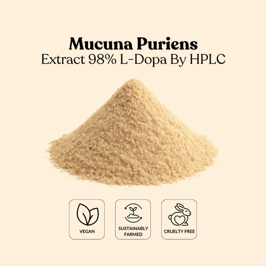 Mucuna Puriens Extract 98% L-Dopa By HPLC