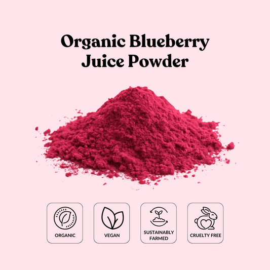 Organic Blueberry Juice Powder
