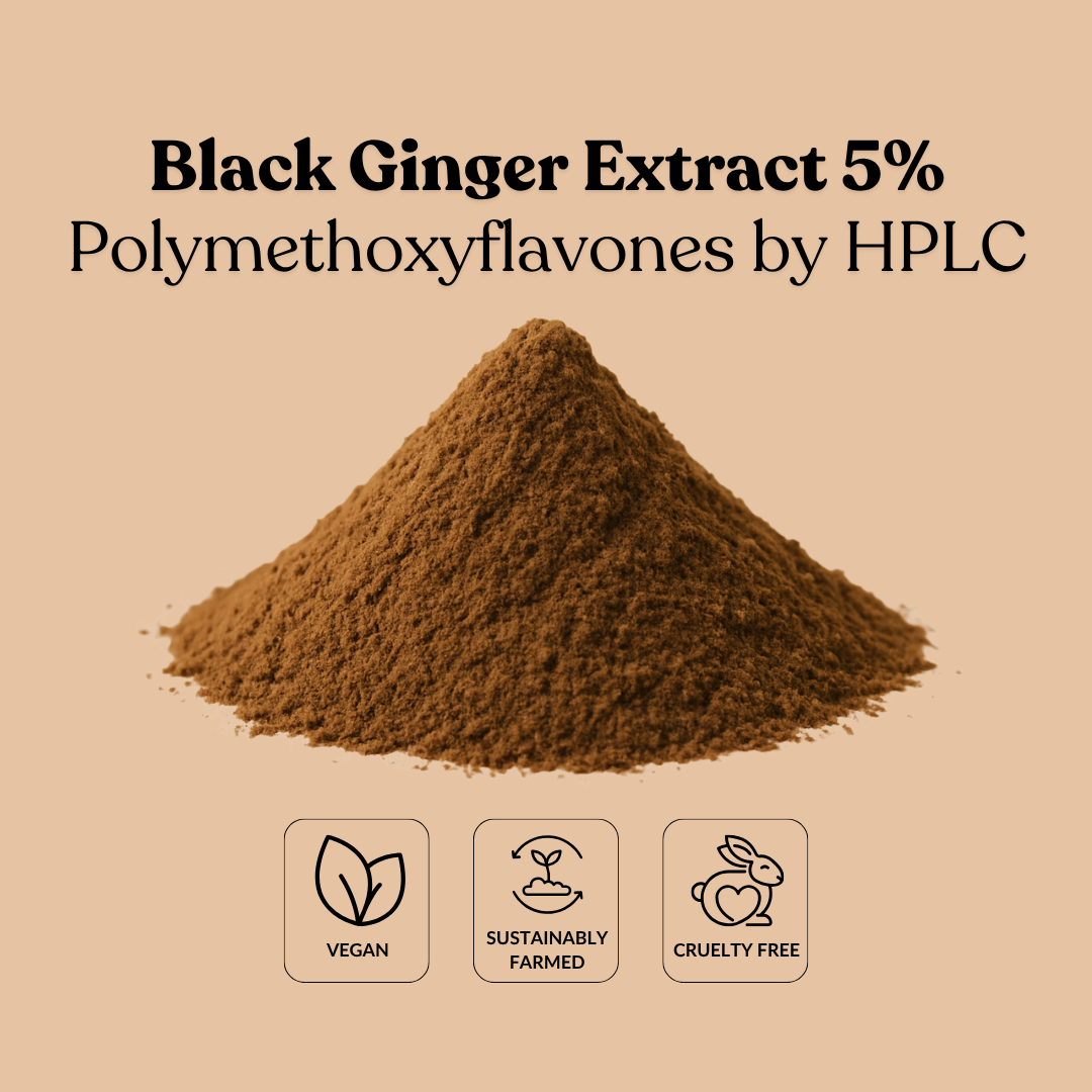 Black Ginger Extract 5% Polymethoxyflavones by HPLC