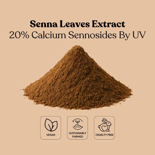 Senna Leaves Extract 20% Calcium Sennosides By UV