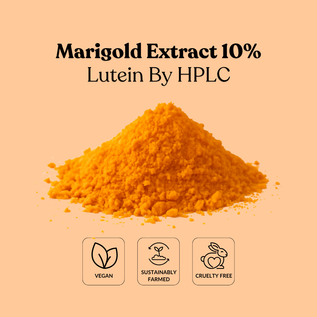 Marigold Extract 10% Lutein By HPLC