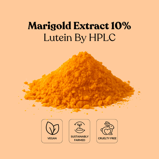 Marigold Extract 10% Lutein By HPLC