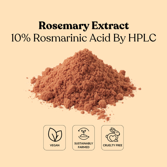 Rosemary Extract 10% Rosmarinic Acid By HPLC