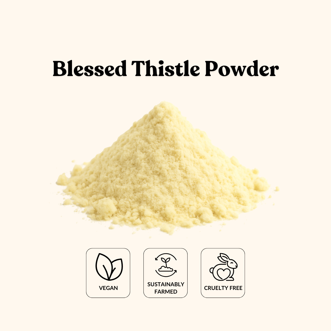 Blessed Thistle Powder – Total Ingredients