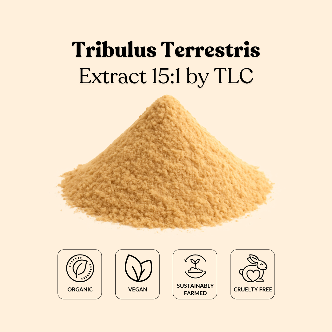 Tribulus Terrestris Extract 15:1 by TLC
