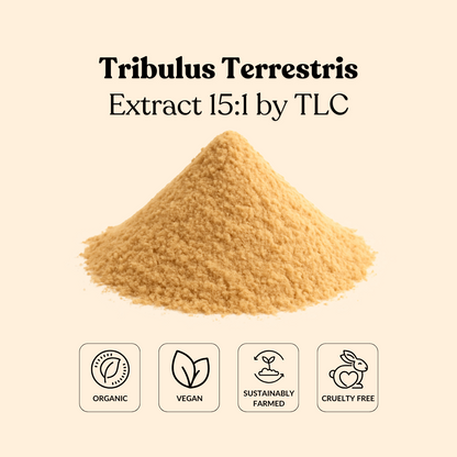 Tribulus Terrestris Extract 15:1 by TLC