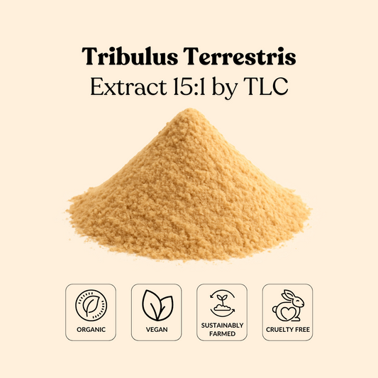 Tribulus Terrestris Extract 15:1 by TLC