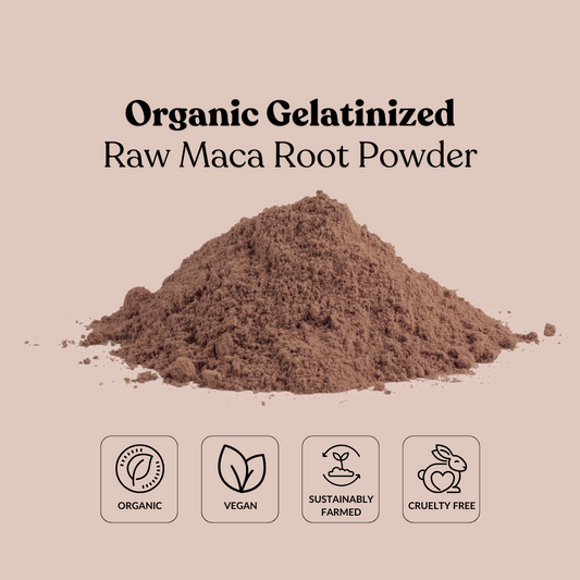 Organic Gelatinized Raw Maca Root Powder