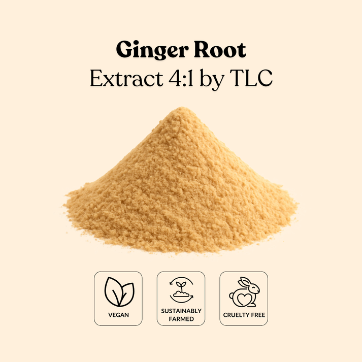 Ginger Root Extract 4:1 by TLC – Total Ingredients