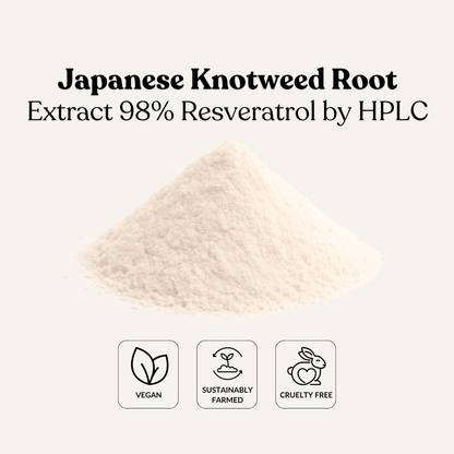 Japanese Knotweed Root Extract 98% Resveratrol by HPLC