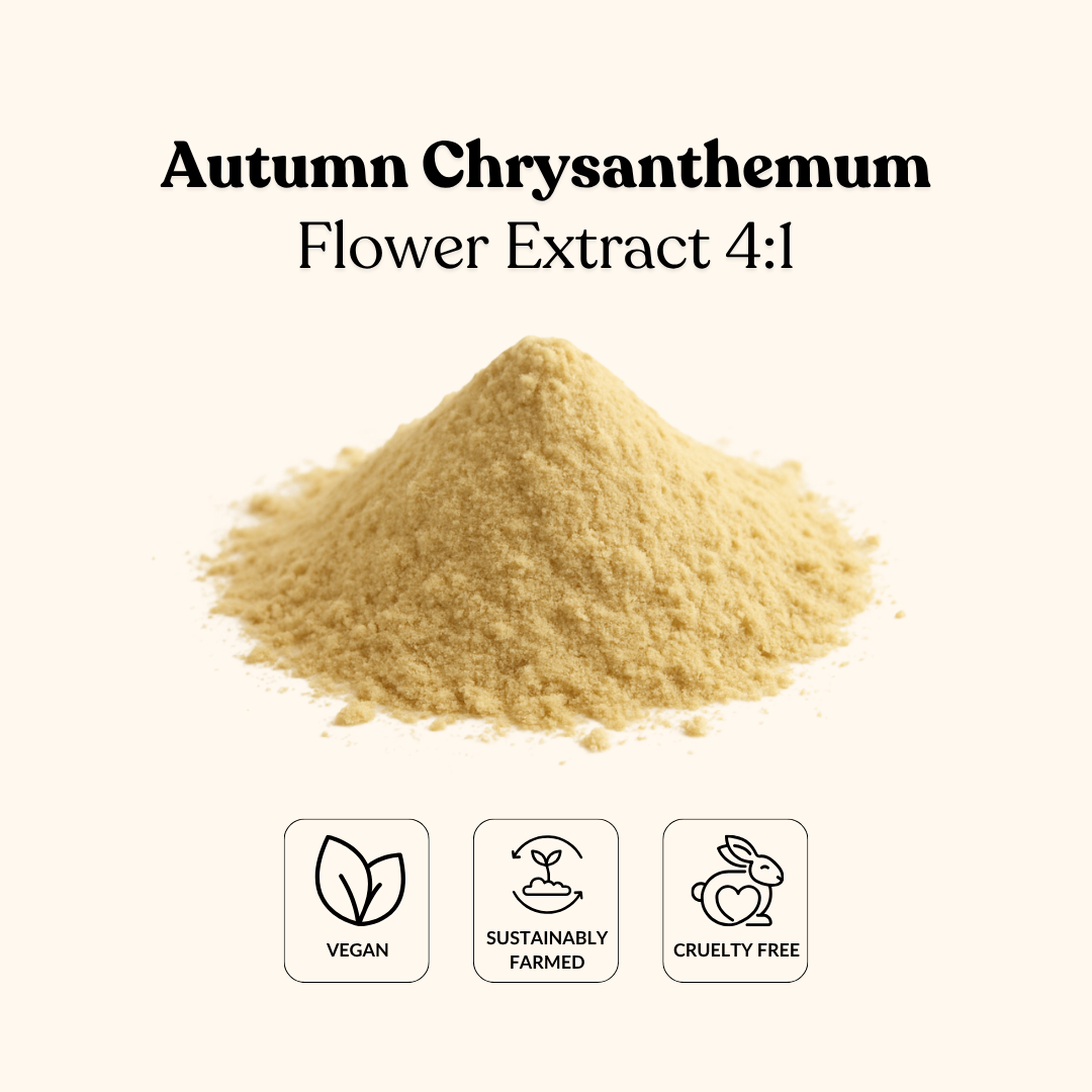 Autumn Chrysanthemum Flower Extract 4:1
