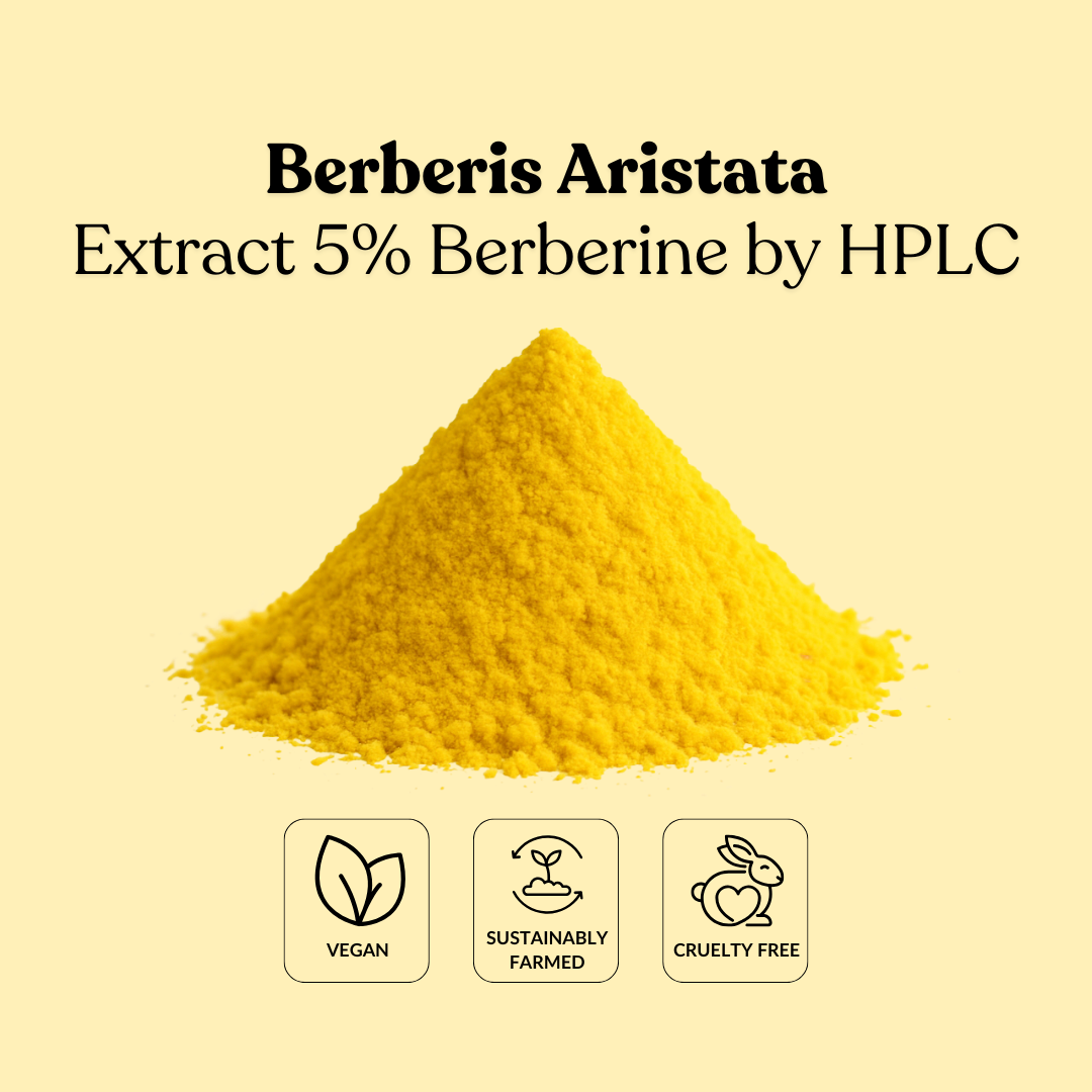 Berberis Aristata Extract 5% Berberine by HPLC