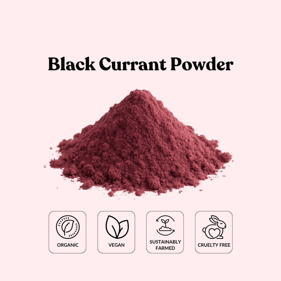 Black Currant Powder
